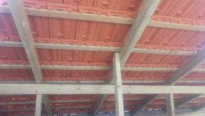 20161019_131408 (Medium)